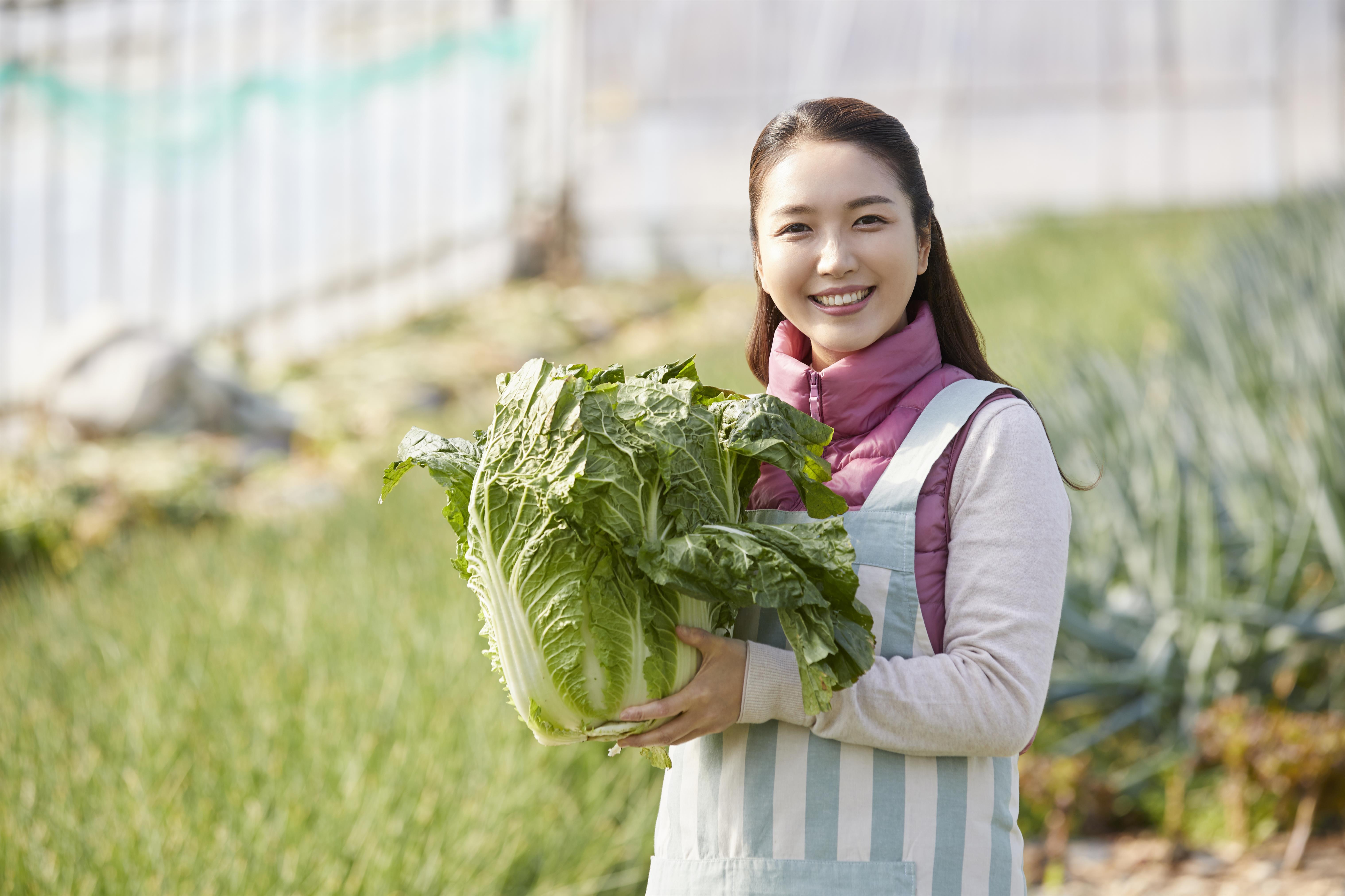 蔬菜收获的农民