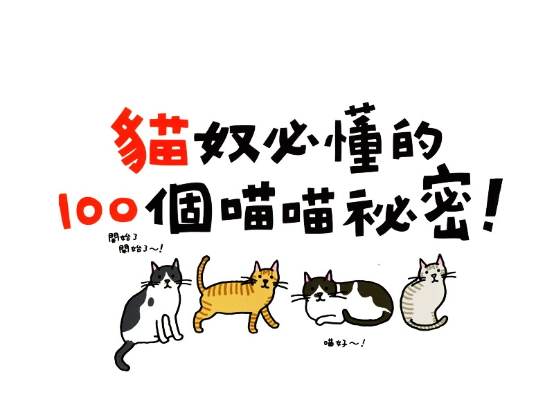 猫奴极简设计KV