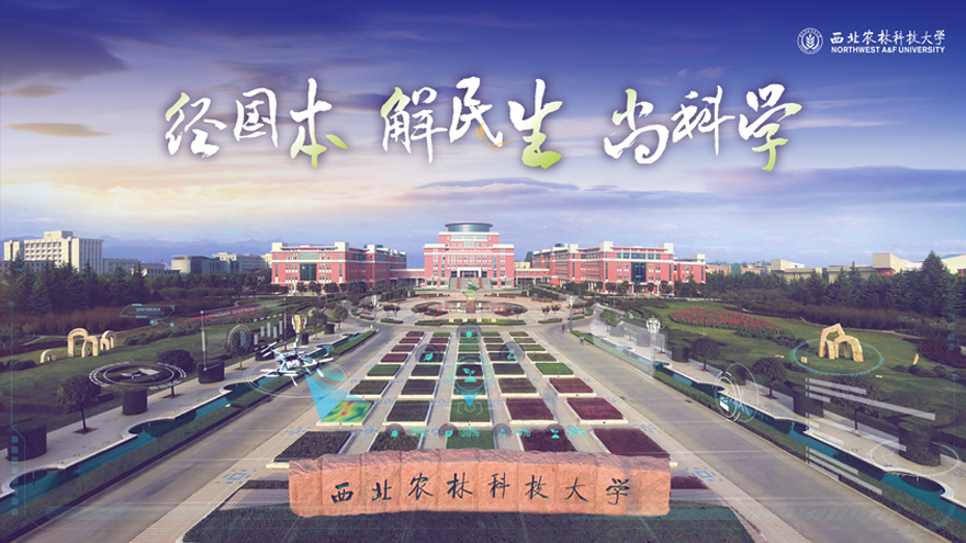 锐普PPT·西北农林科技大学丨西北农林科技大学招生宣传PPT PPT教程 锐普PPT·西北农林科技大学丨西北农林科技大学招生宣传PPT