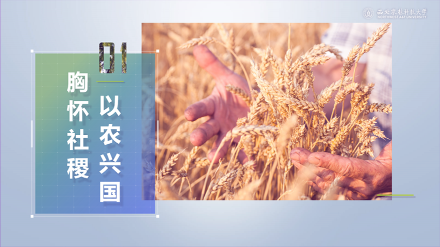 锐普PPT·西北农林科技大学丨西北农林科技大学招生宣传PPT PPT教程 锐普PPT·西北农林科技大学丨西北农林科技大学招生宣传PPT