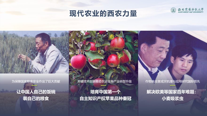 锐普PPT·西北农林科技大学丨西北农林科技大学招生宣传PPT PPT教程 锐普PPT·西北农林科技大学丨西北农林科技大学招生宣传PPT