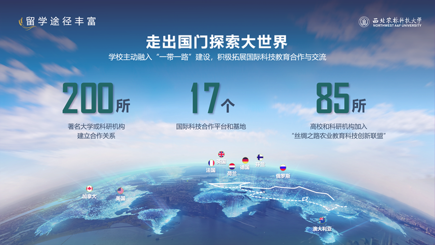 锐普PPT·西北农林科技大学丨西北农林科技大学招生宣传PPT PPT教程 锐普PPT·西北农林科技大学丨西北农林科技大学招生宣传PPT