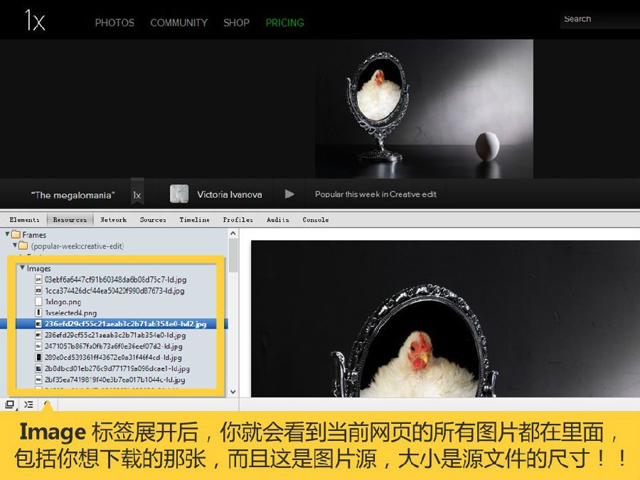 图片