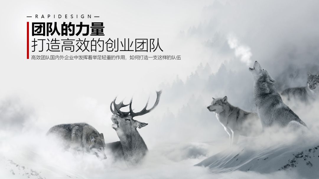 别在那笑了,你的PPT图片都用错了! PPT教程 别在那笑了,你的PPT图片都用错了!