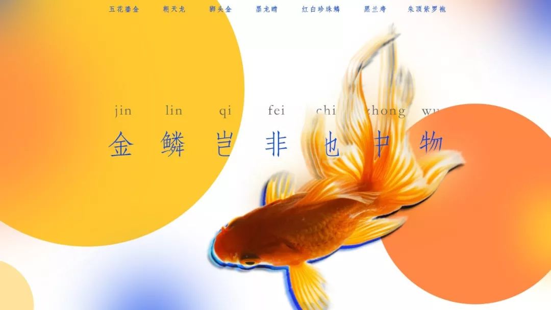 别在那笑了,你的PPT图片都用错了! PPT教程 别在那笑了,你的PPT图片都用错了!
