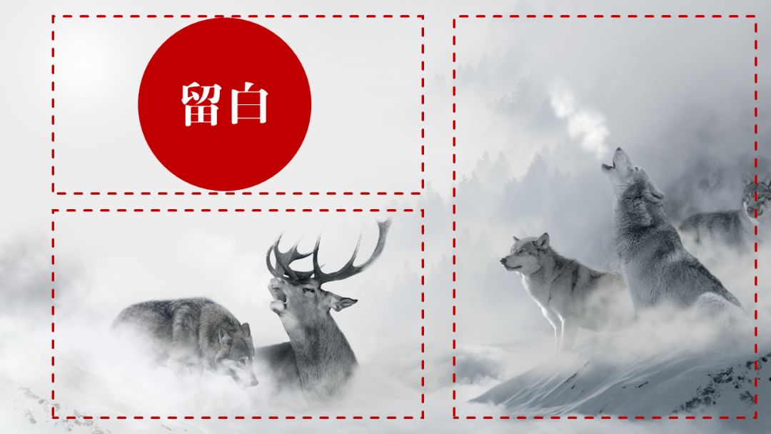 别在那笑了,你的PPT图片都用错了! PPT教程 别在那笑了,你的PPT图片都用错了!