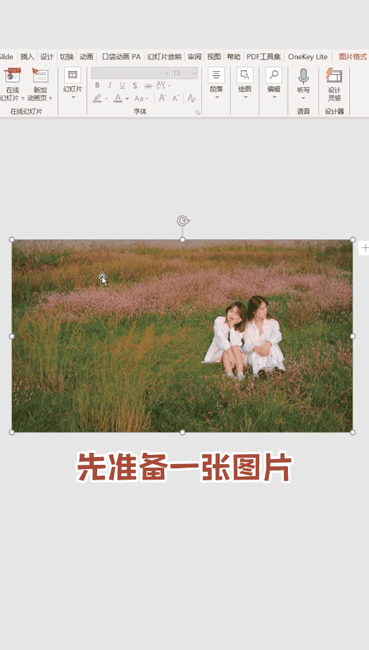 图片